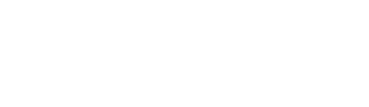 iconicinstitute